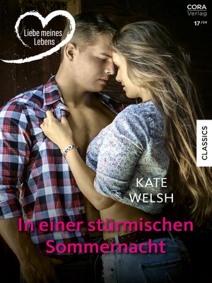 cover image of In einer stürmischen Sommernacht